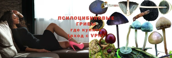 герыч Абаза