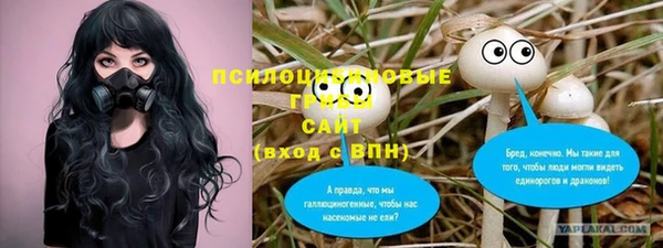 MDMA Алексеевка
