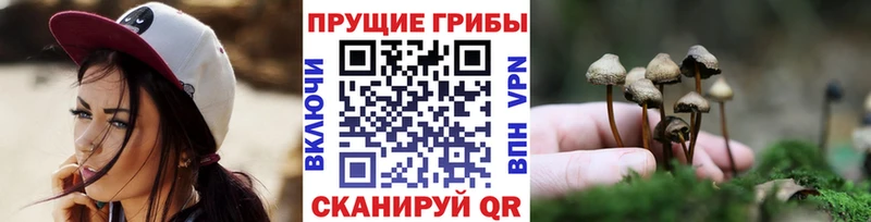 mega вход  Лангепас  Псилоцибиновые грибы мухоморы 