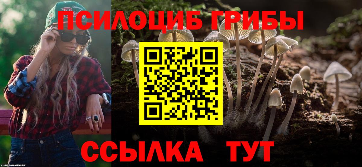Галлюциногенные грибы Cubensis Лангепас